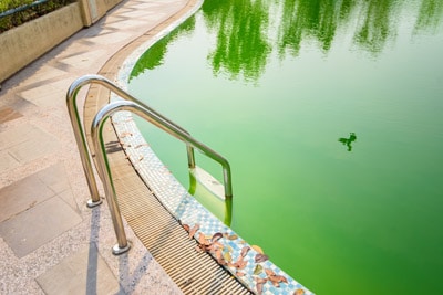 Algen aus dem Pool entfernen, Becken ist stark grün