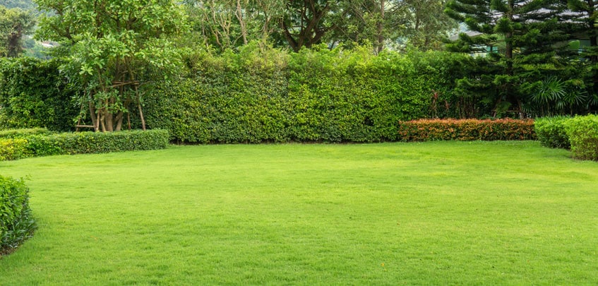 Garten mit ebener Freifläche