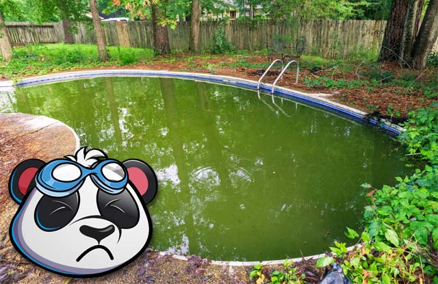 Ein veralgter Pool. Wäre Bayrol Nophos Phosphat Entferner zum Einsatz gekommen. so wäre der Pool algenfrei.