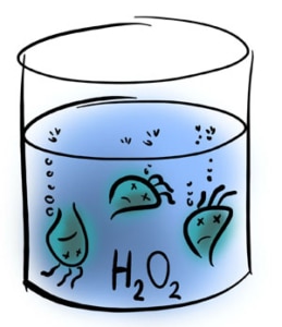 h2o2 gegen zu viel chlor im wasser